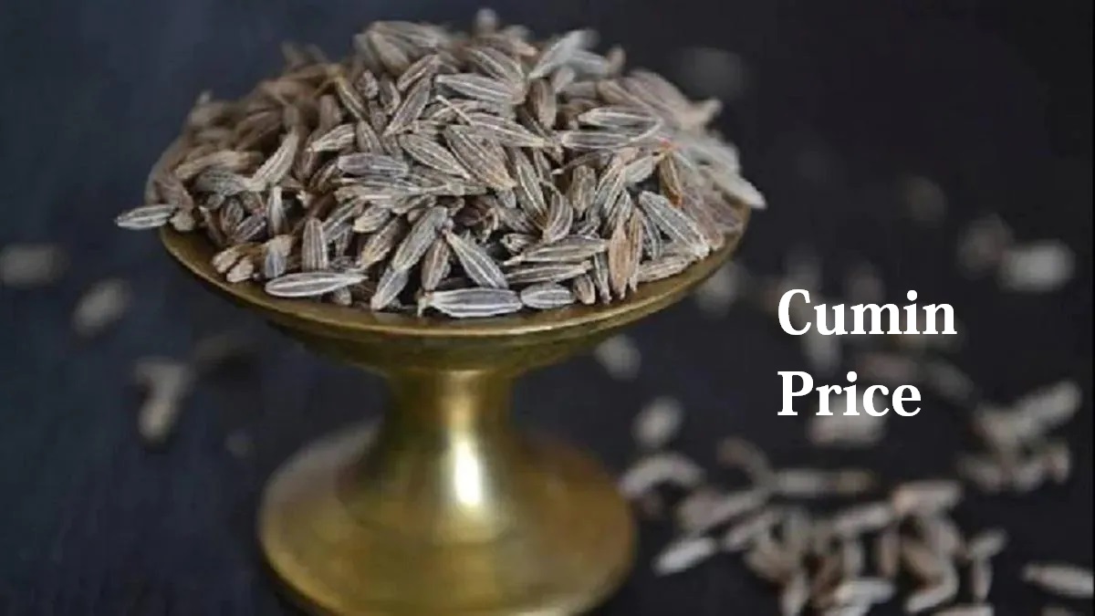 Cumin Price: फसल कम होने की वजह से जीरे की कीमत में आ सकती है जबरदस्त उछाल