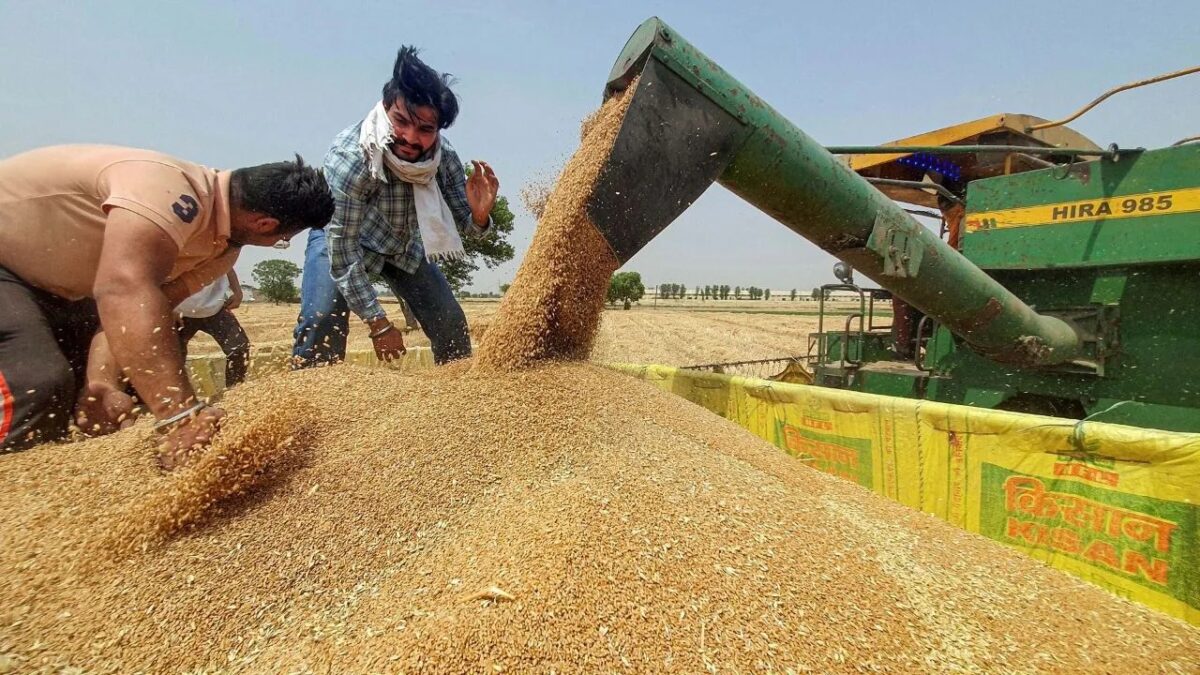 गेहूं खरीद