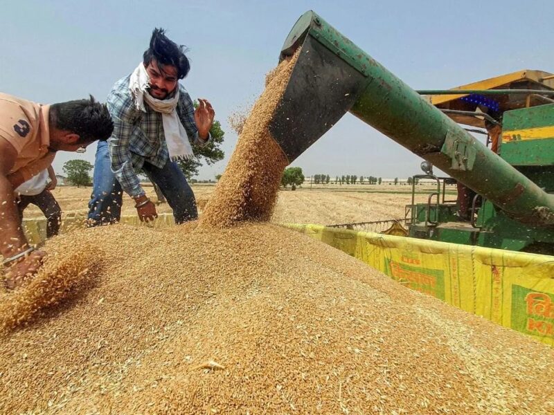 गेहूं खरीद